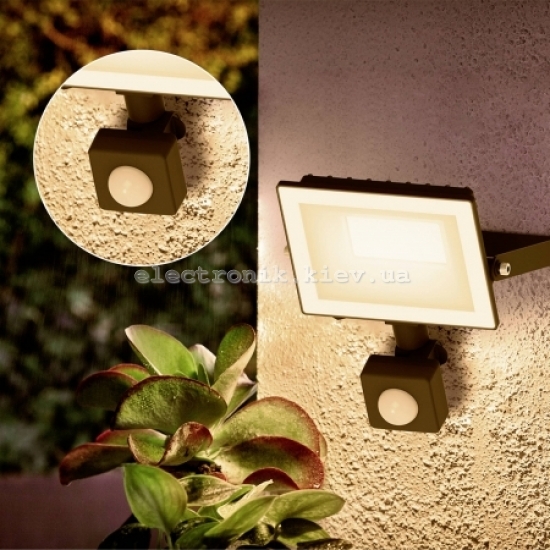 Philips LED Lois Светодиодный наружный прожектор (+ детектор движения) 20 Вт Цвета (светодиоды): Холодный белый