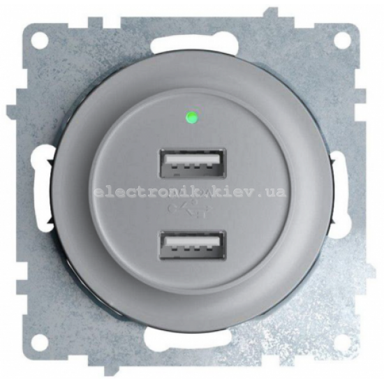 Розетка USB двойная с подсветкой OneKeyElectro, цвет серебро