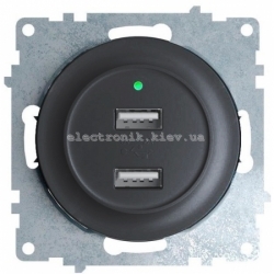 Розетка USB двойная с подсветкой OneKeyElectro, цвет черный